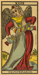 Carica l&#39;immagine nel visualizzatore di Gallery, Tarot de Marseille - Edizione Limitata
